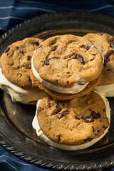 Homemade Ice Cream Sandwiches