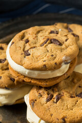 Homemade Ice Cream Sandwiches