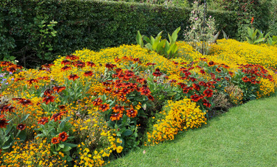 Colors of autumn - a flower bed in the park