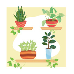 plants inside pots on shelves vector design