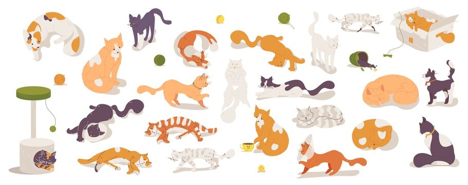 Various cats collection isolated on white. Cartoon characters sleeping, jumping, sitting. Different kittens good for vet, shelter and pet cafe