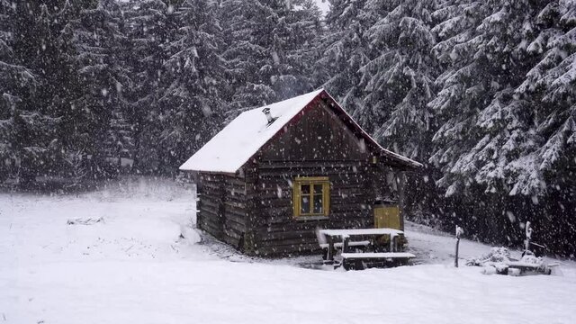Snow falling on dark mountain forest and pine log wooden cabin house. Christmas holidays and winter vacations concept