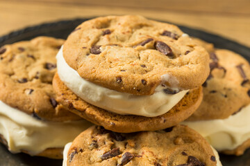 Homemade Ice Cream Sandwiches