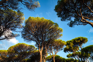 Parco della Maremma