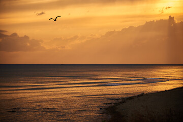 Fototapeta na wymiar Yellow sunset at the sea