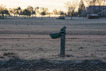 drinking trough on frosty meadow at sunrise