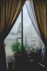 Foggy windows in a rainy day with a balcony with green plants and curtains