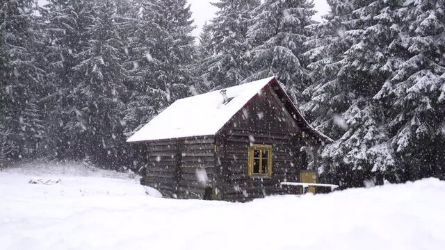 Snow falling on dark mountain forest and pine log wooden cabin house. Christmas holidays and winter vacations concept