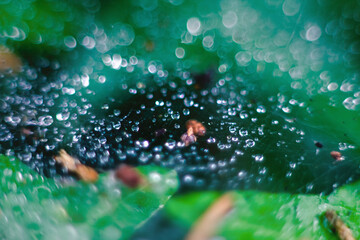 water drops on a glass