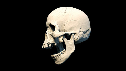 Human skull with an open lower jaw on a Black isolated background. The concept of death, immortality, eternal life, horror. Acult symbol. Spooky Halloween symbol. 3D render