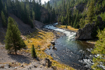 Firehole river and canyon in Yellowstone National Park