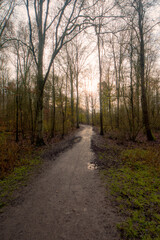 Fototapeta na wymiar Park De Amsterdamse Bos in december