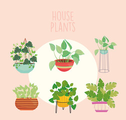 house symbol set plants inside pots vector design