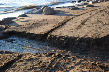 The sandy shore is cut by a stream.
Autumn evening, the coast of the Gulf of Finland. Beach sand under the slanting rays of the low sun, A small stream flows through the beach. There are motorcycle ti