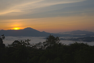 Sunrise in the jungle