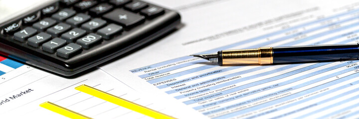 Financial accounting report. Sales graphs analysis business plan