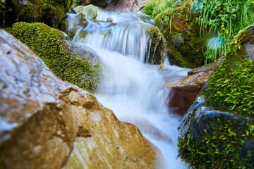 little waterfall in the forest