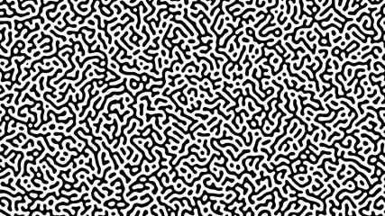 Web