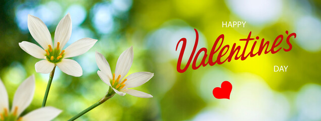 Fototapeta na wymiar happy valentines day with beautiful flowers on colorful background