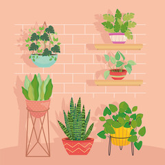 plants inside pots in front of bricks wall vector design