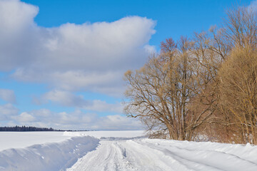 Winter landscape with trees, road and field