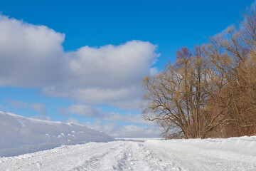 Fototapeta na wymiar winter landscape with snow
