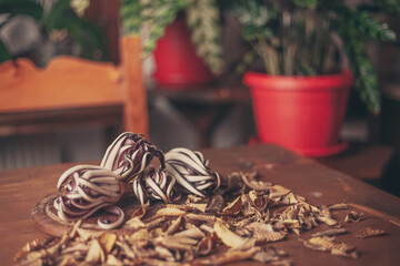 Red radicchio on wooden table with a base of dry yellow leaves. Green plants background. Vintage effect color