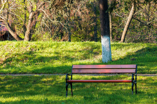 empty wooden bench in the park. sunny weather on spring or summer day. green grass on the lawn. relax concept