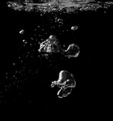 Water bubbles on a black