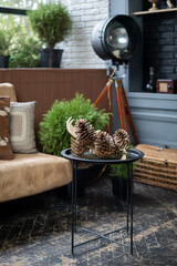 Objects in apartment with modern interior design