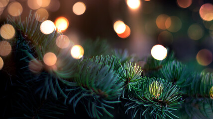 Branches of New Year's green tree with bokeh lights. Green festive background, golden bokeh. Narrow banner, festive background.