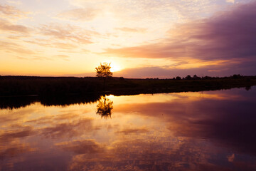 reflection on the surface of the lake of the dark silhouette of the shore and a lonely young tree at dawn