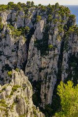 Paysage plage 236