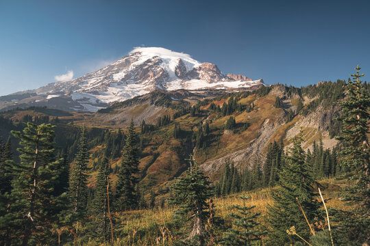 Mount Rainier From One Of The Many Trails In The Paradise Area Of Mount Rainier National Park During Early Fall.