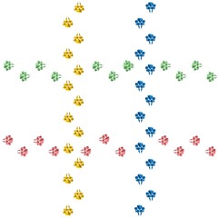 Cat tracks. Paw prints of a tiger, lion or panther in the snow. Claw footprint