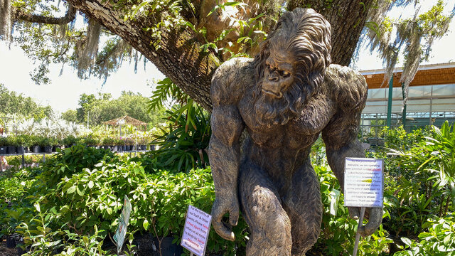 A wooden statue of bigfoot at a garden shop in Orlando, Florida.