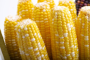 ripe corn close up