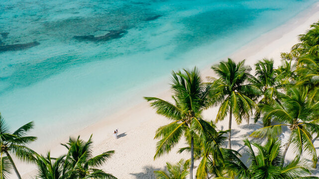 Aerial view to couple on the beach between palms. Shadows by people - Powered by Adobe