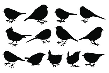 Hand drawn vector silhouettes of small forest birds on white background. Black and white  stock illustration of wild birds.