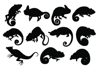 Hand drawn vector set of silhouettes of  chameleons isolated on white background. Black and white  stock illustration of lizards.