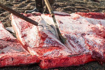 Hunters cut carcass of the killed whale on pieces.