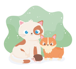 Obraz na płótnie Canvas cute cat puppy and hedgehog cartoon animals