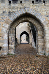 Fototapeta na wymiar Sur le chemin de Compostelle, ville de Cahors, le pont fortifié Valentré.