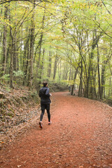 Runner in autumn forest with colorful trees. People walking in park fall season. Health lifestyle concept. Jogger in park. 