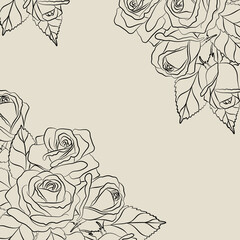 Sketch of roses on a white background. Floral background.