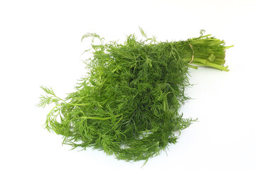 Fresh dill on white background,object isolated on white background