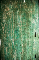 Old Green Peeling Paint and Nail on Wood Cupboard