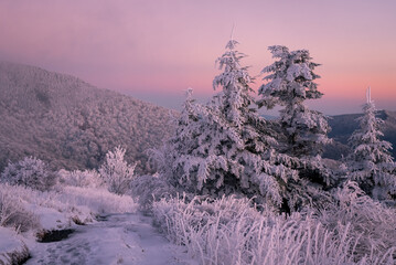 A winter landscape during sunset along the Appalachian Trail - 399879651