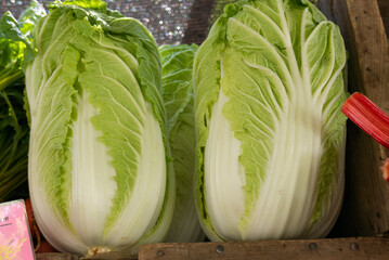 Two Large Heads of Napa Cabbage in a wooden crate at the farmers market