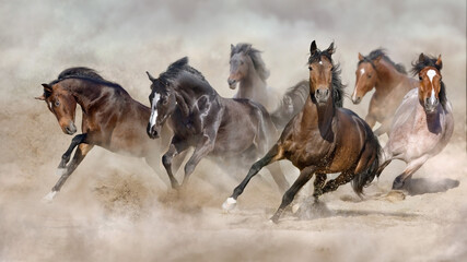Fototapeta na wymiar Horse herd galloping on sandy dust against sky